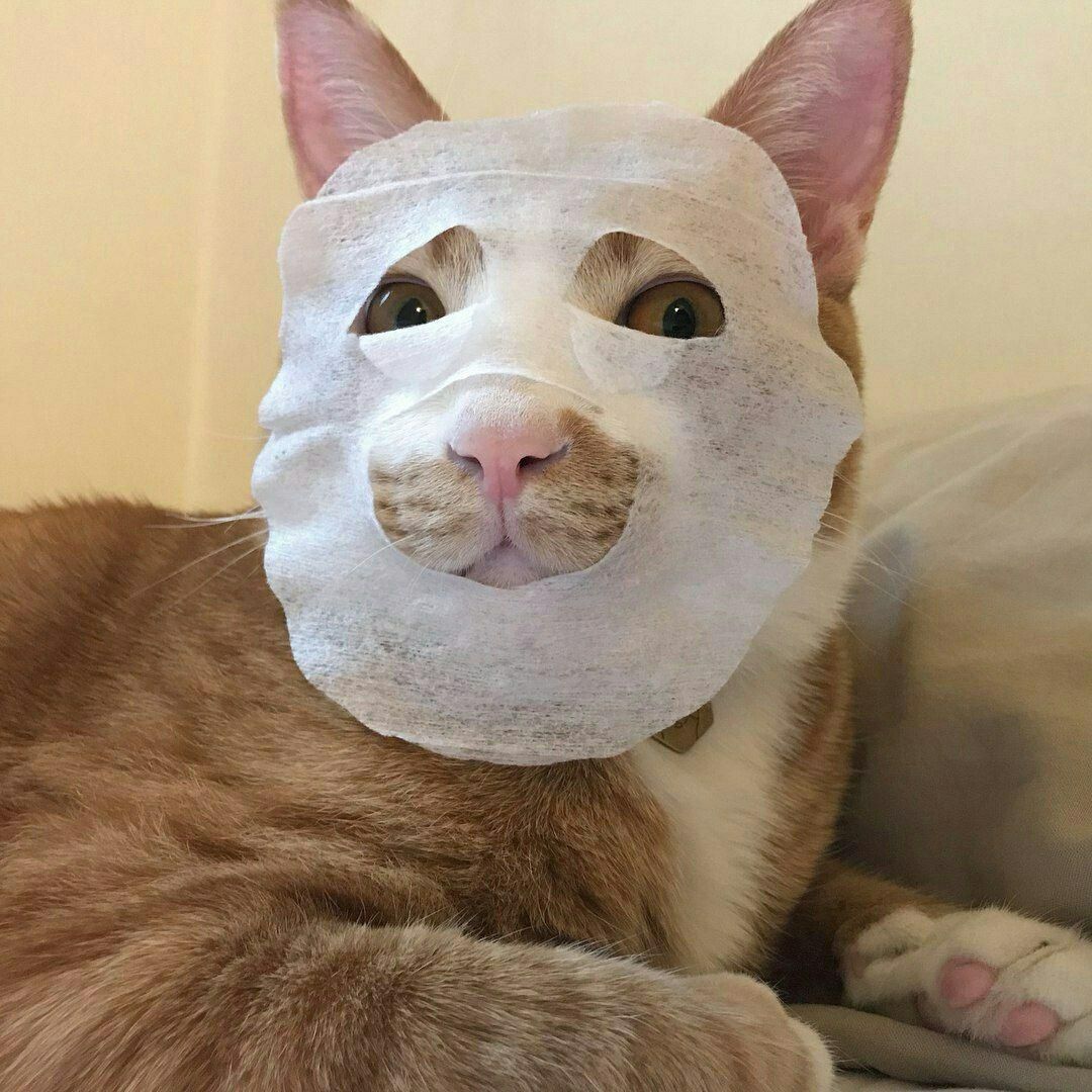 Причины успеха корейской косметики